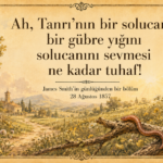 solucanını